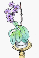 "Orchidee" Glaspause von Bernhard Schulz zu Übung 10.3